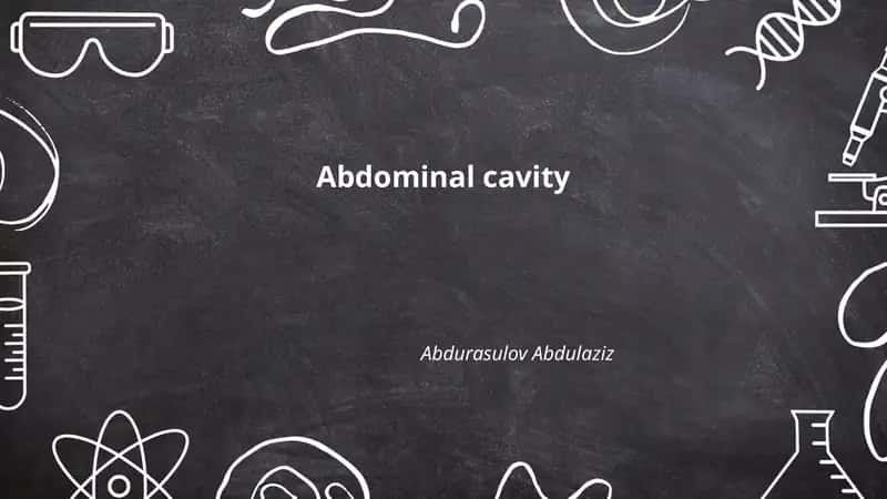 Abdominal cavity 1