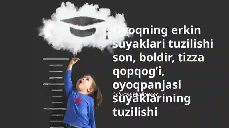 Oyoqning erkin suyaklari tuzilishi