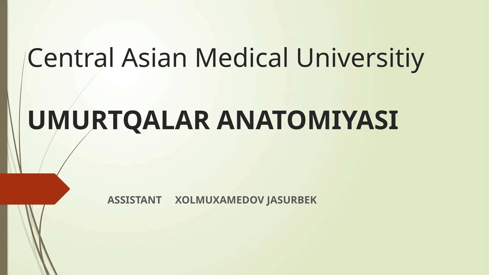 UMURTQALAR ANATOMIYASI 1