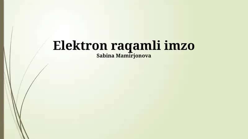 Elektron raqamli imzo 1