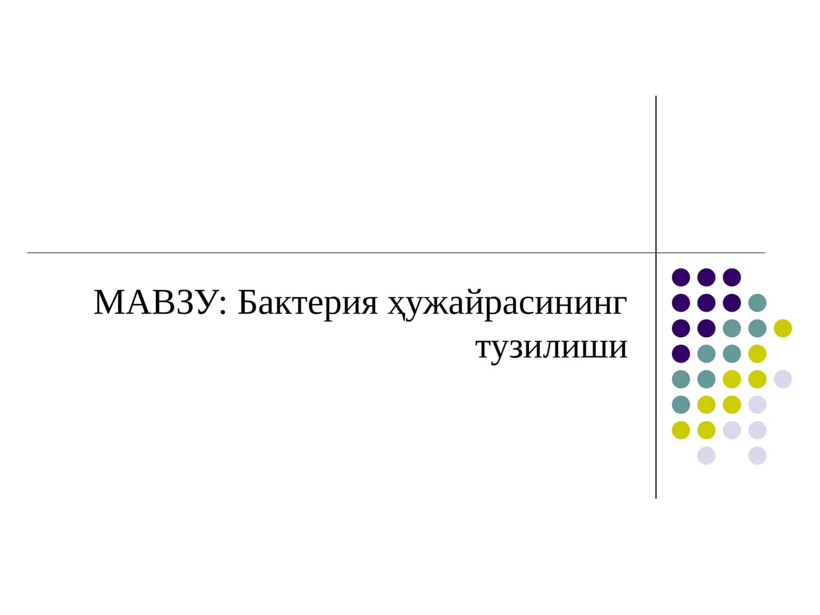 Бактерия ҳужайрасининг тузилиши 1