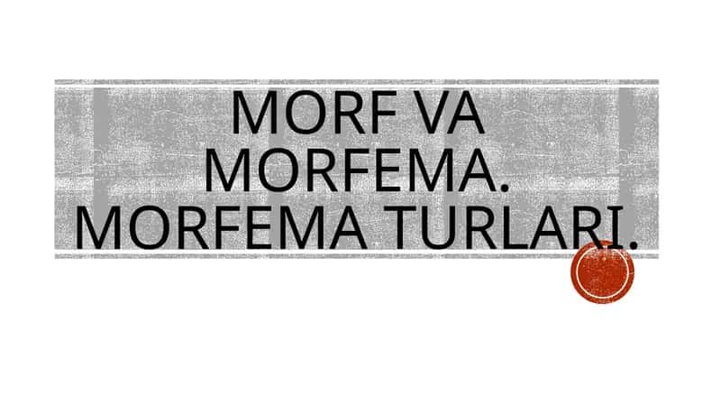 MORF VA MORFEMA. MORFEMA TURLARI 1