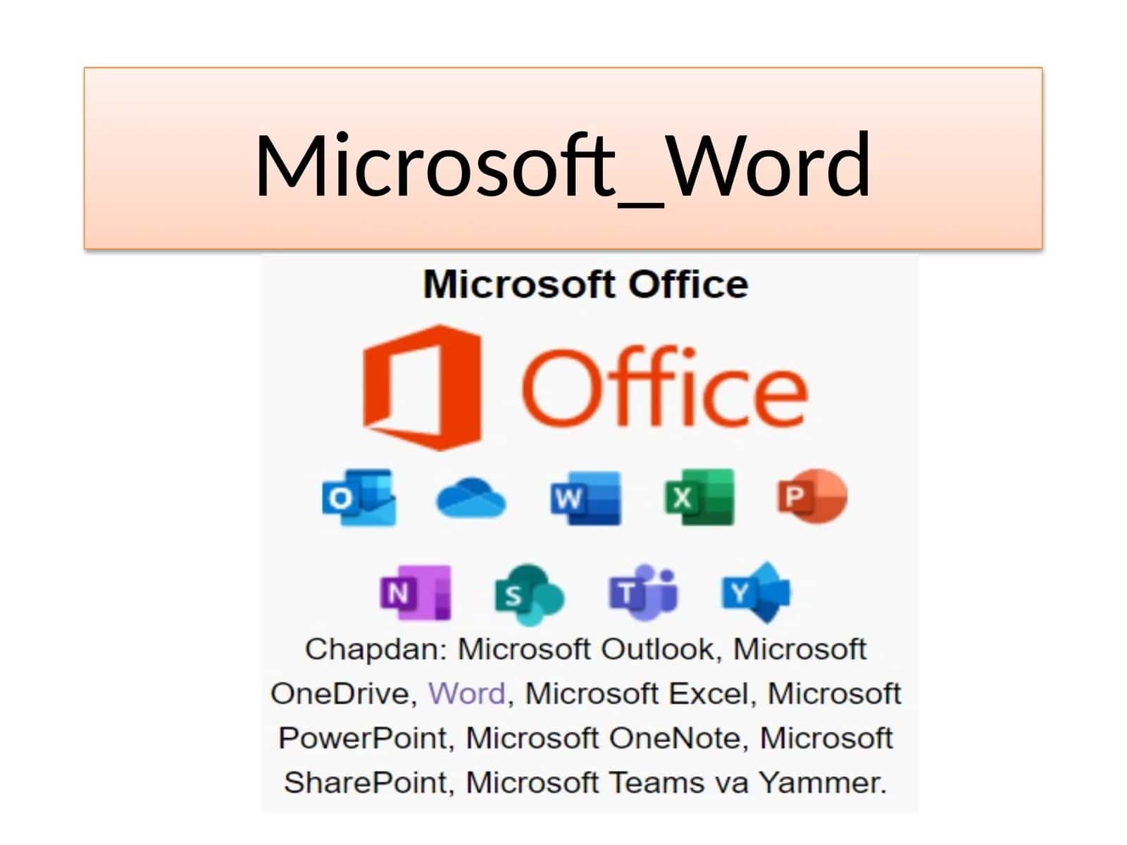 Microsoft Word 1
