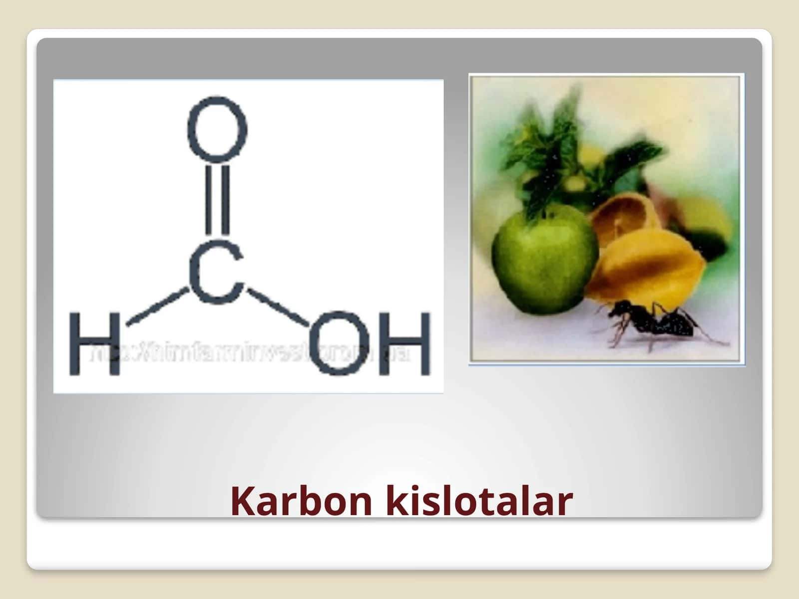 Karbon kislotalar 1