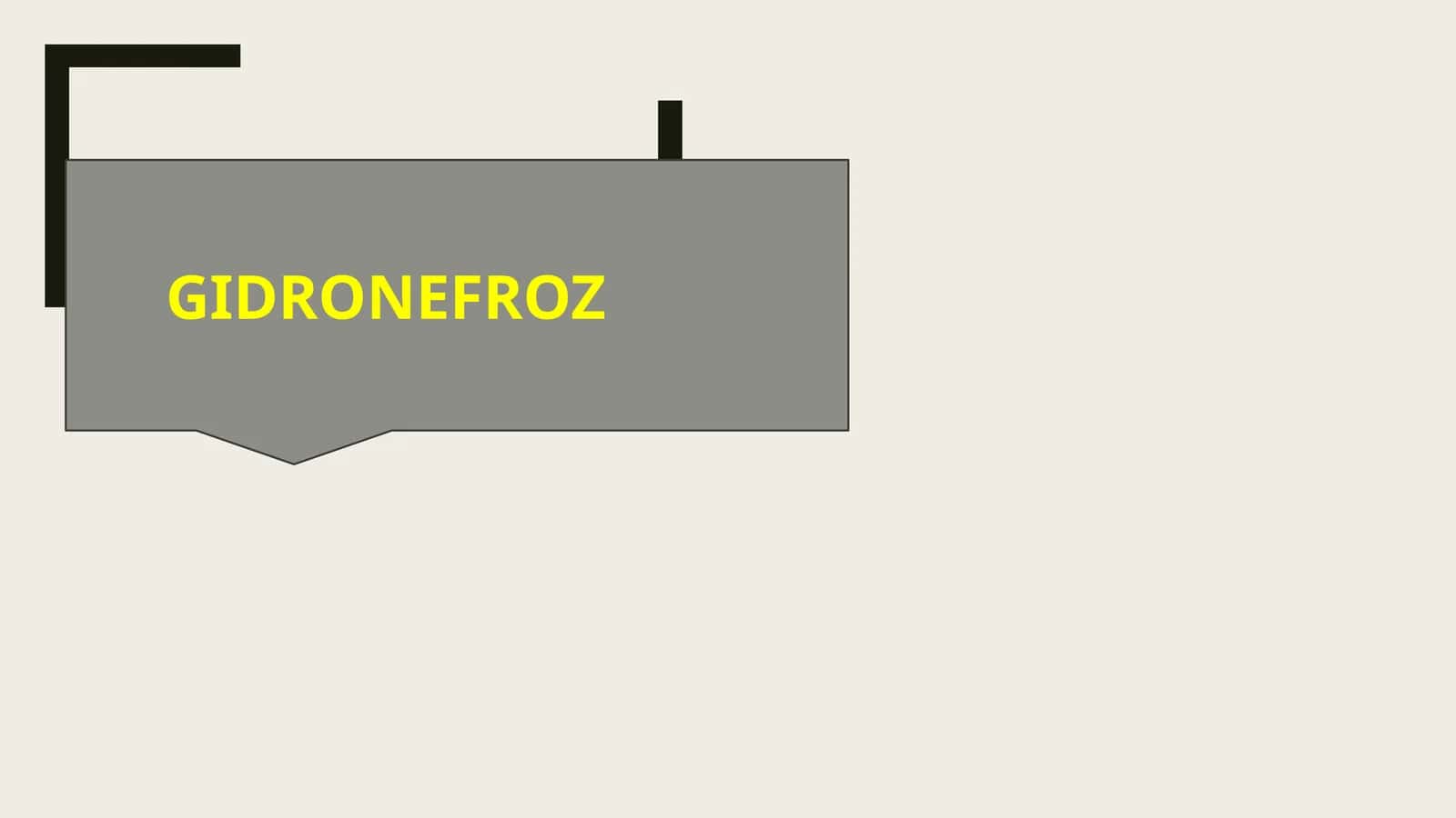 Gidronefroz 1