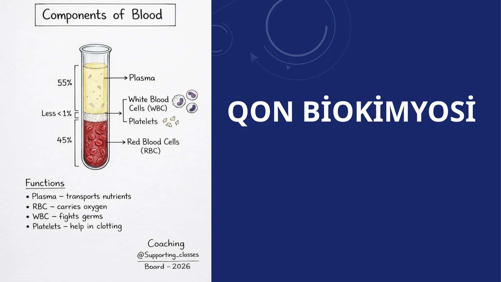 Qon biokimyosi 1