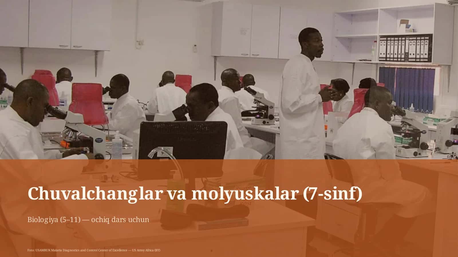 Chuvalchanglar va molyuskalar (7-sinf) 1