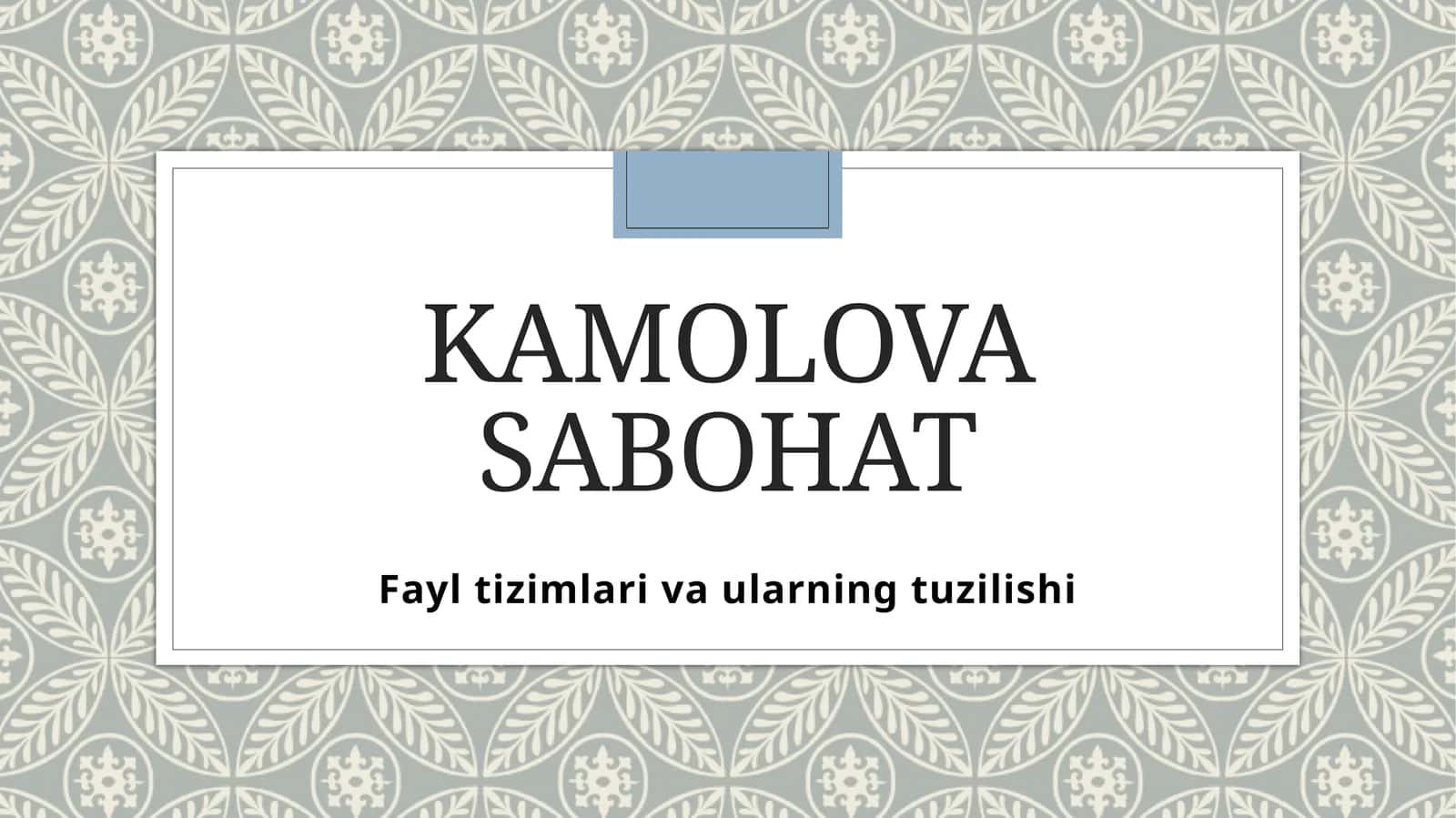 Fayltizimlarivaularningtuzilishi 1