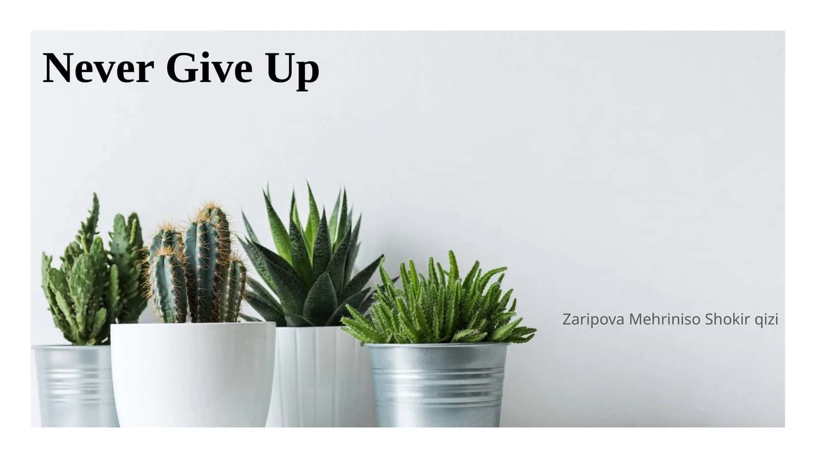 Never Give Up 1