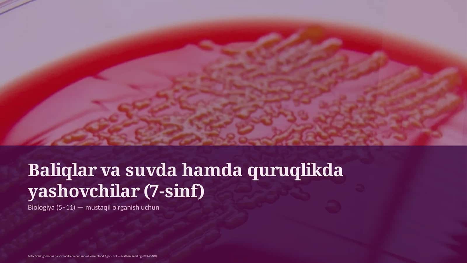 Baliqlar va suvda hamda quruqlikda yashovchilar (7-sinf) 1