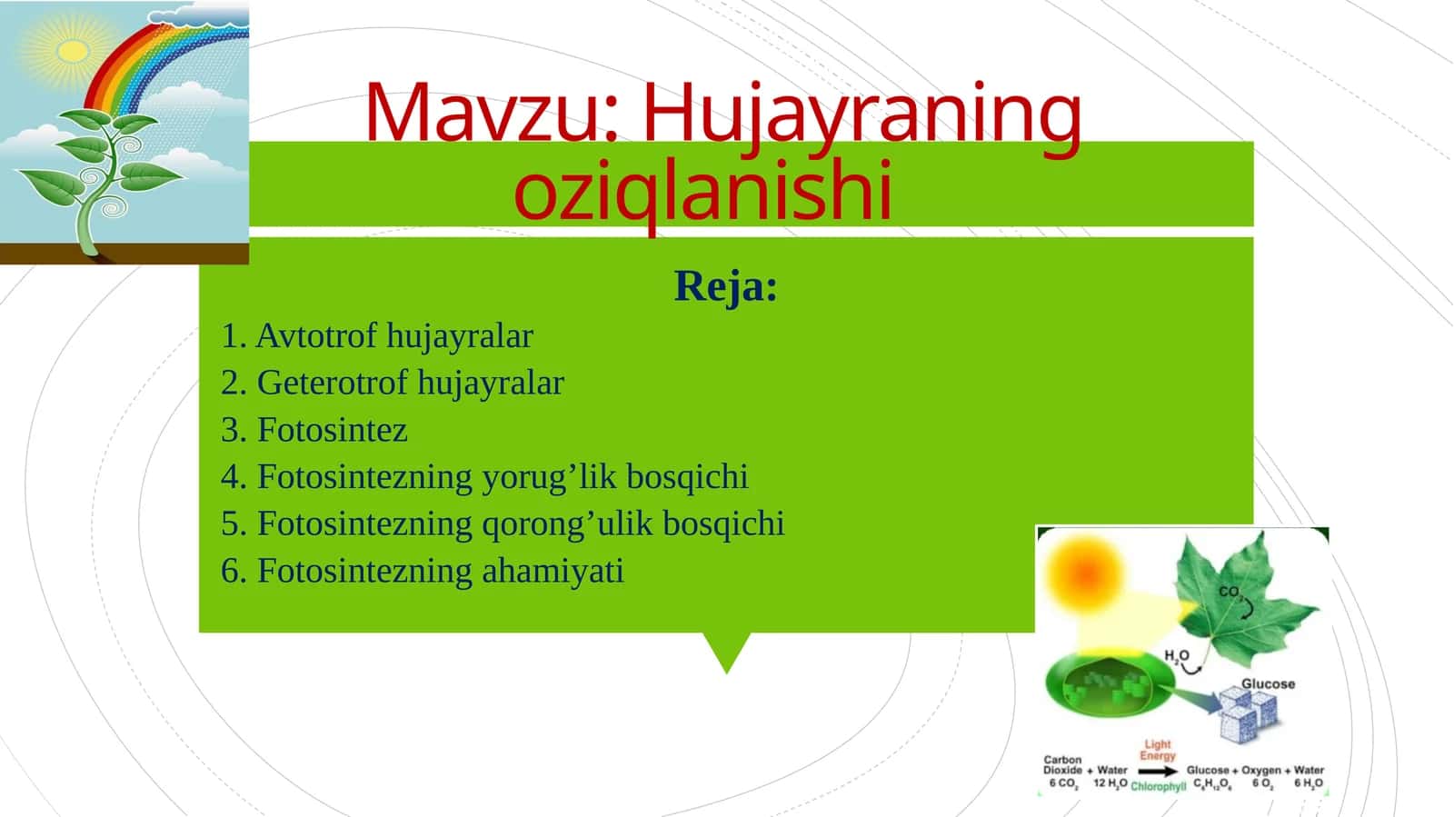 Hujayraning oziqlanishi 1