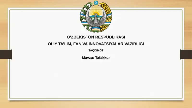 Refleksiya 1
