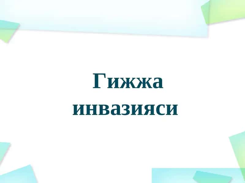 Гижжа инвазияси 1