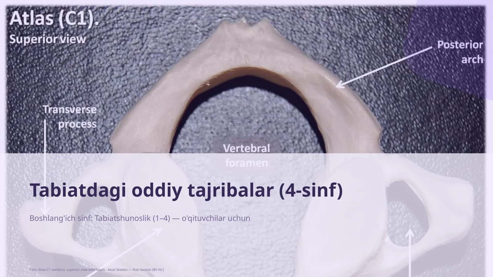 Tabiatdagi oddiy tajribalar (4-sinf) 1