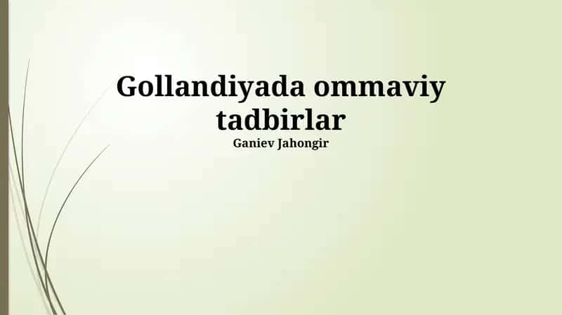 Gollandiyada ommaviy tadbirlar 1