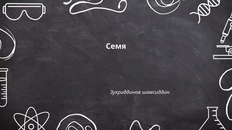 Семя 1