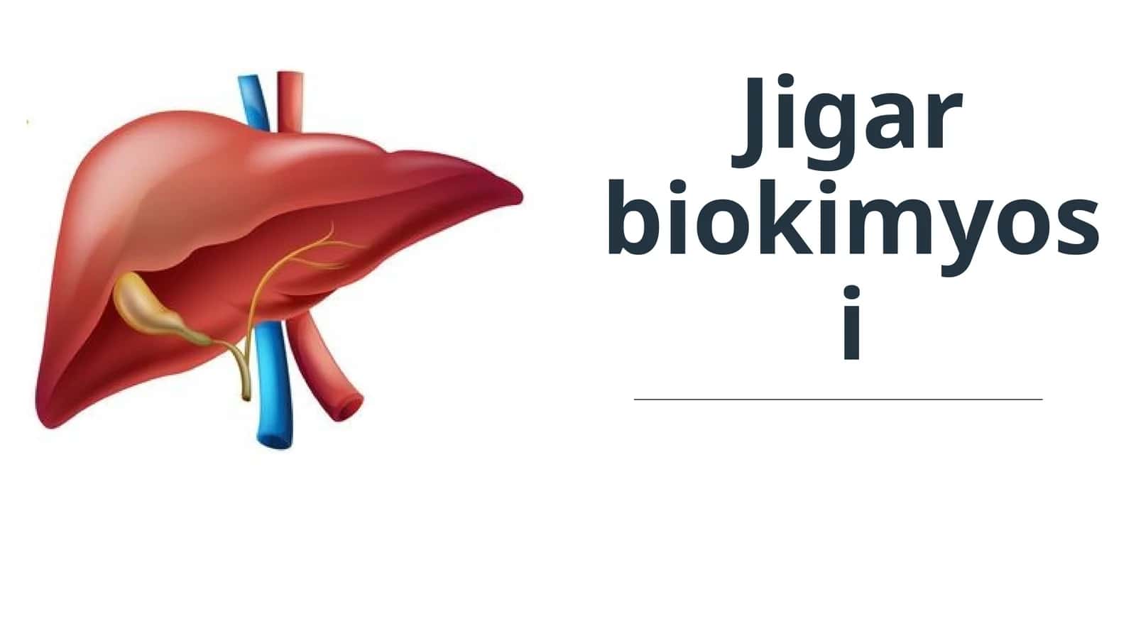 Jigar biokimyosi 1