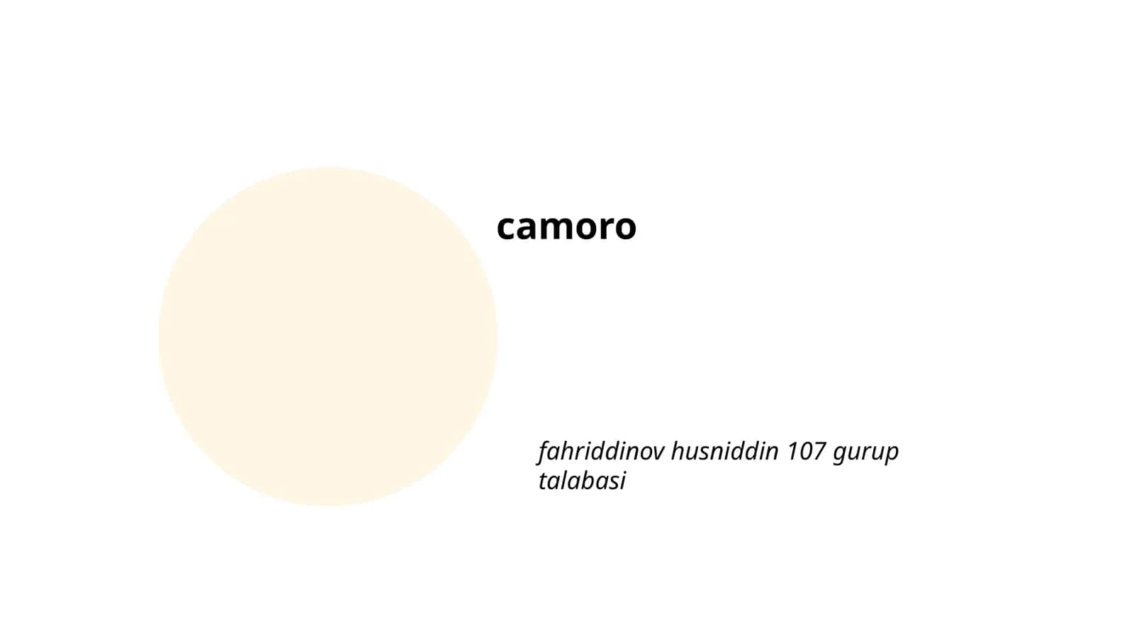 Camoro 1