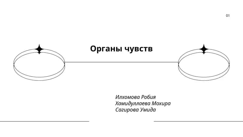 Органы чувств 1