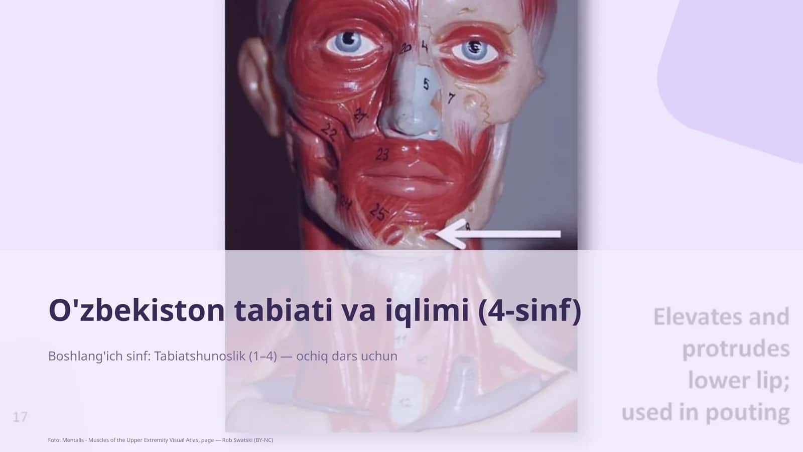 O'zbekiston tabiati va iqlimi (4-sinf) 1