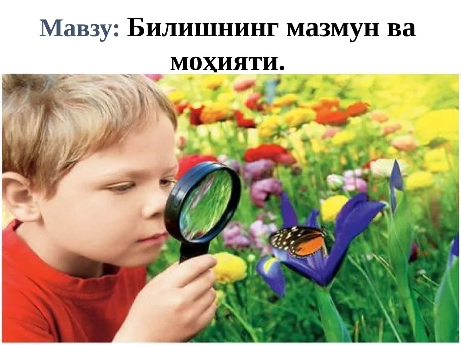 Билишнинг мазмун ва моҳияти 1