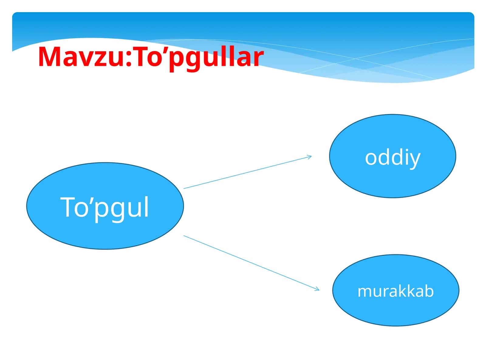 6-sinf Botanika dars ishlanma. To'pgullar 1