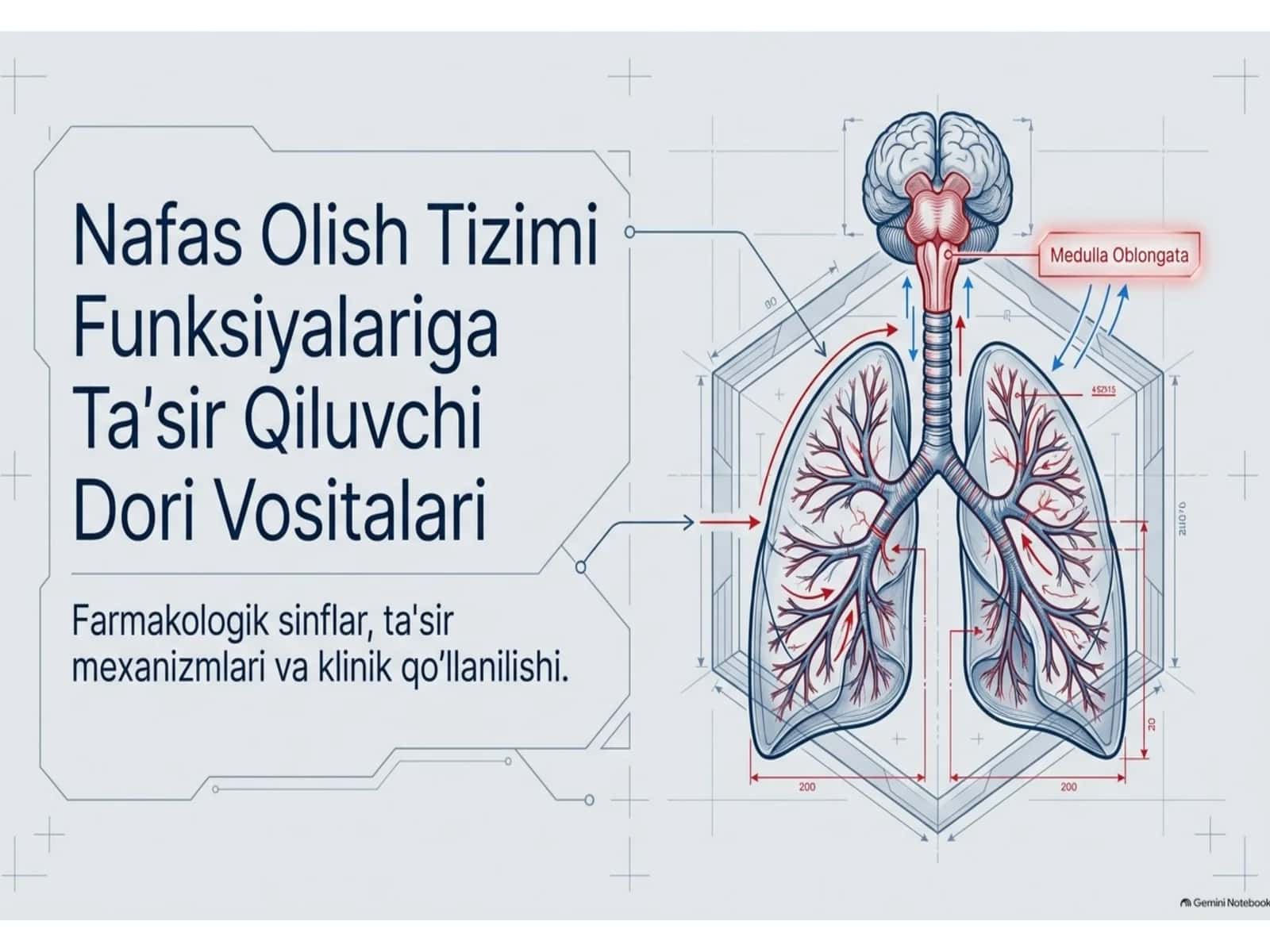 nafas olish yollariga tasir qiluvchi moddalar 1