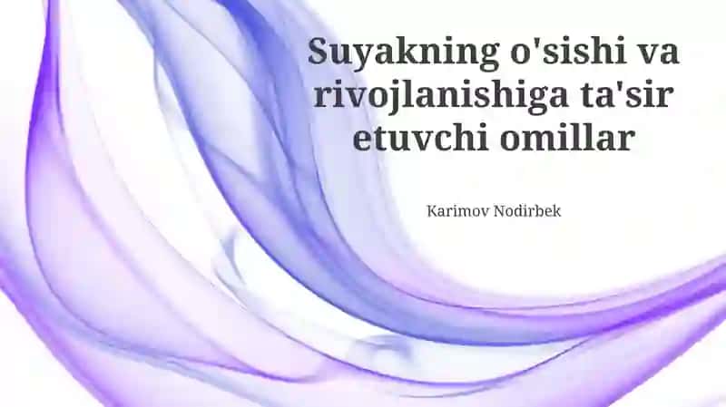 Oziq-ovqat moddalari va ularning kimyoviy tarkibi