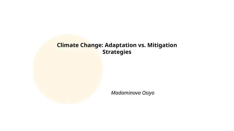 Climate Change: Adaptation vs. Mitigation Strategies 1