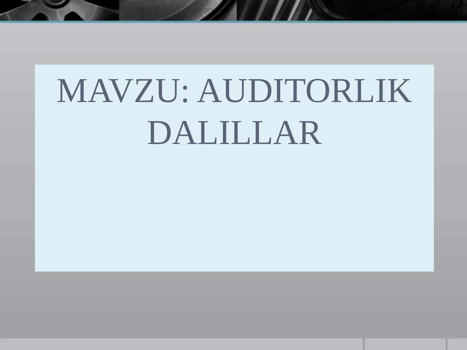 AUDITORLIK DALILLAR 1