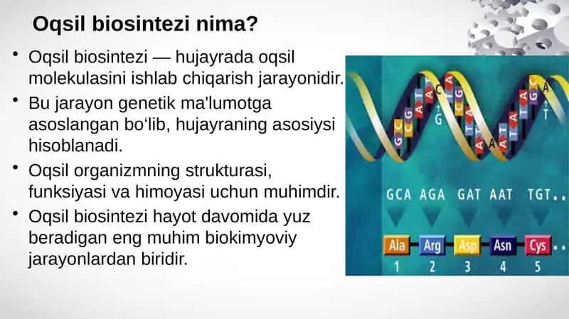 Oqsil biosintezi 1