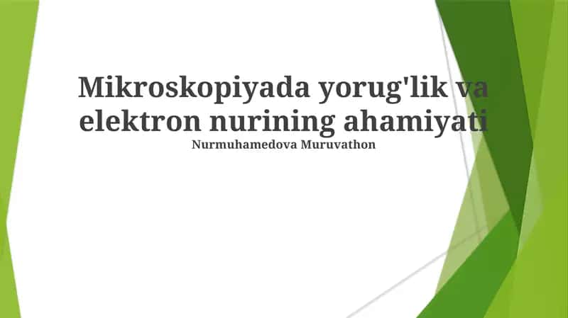 Skanirovchi elektron mikroskoplari (SEM) 1