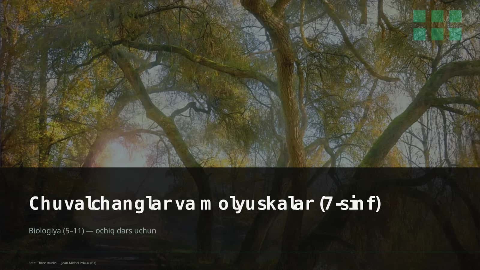 Chuvalchanglar va molyuskalar (7-sinf) 1