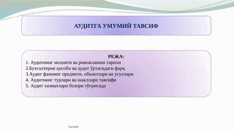 Аудитга умумий тавсиф 1