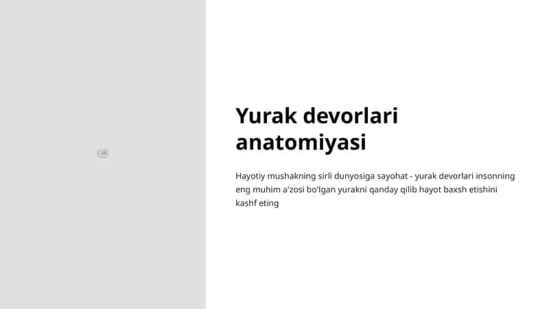 Yurak devorlari anatomiyasi 1