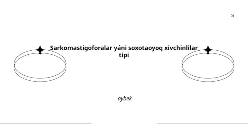 Sarkomastigoforalar yáni soxotaoyoq xivchinlilar tipi 1