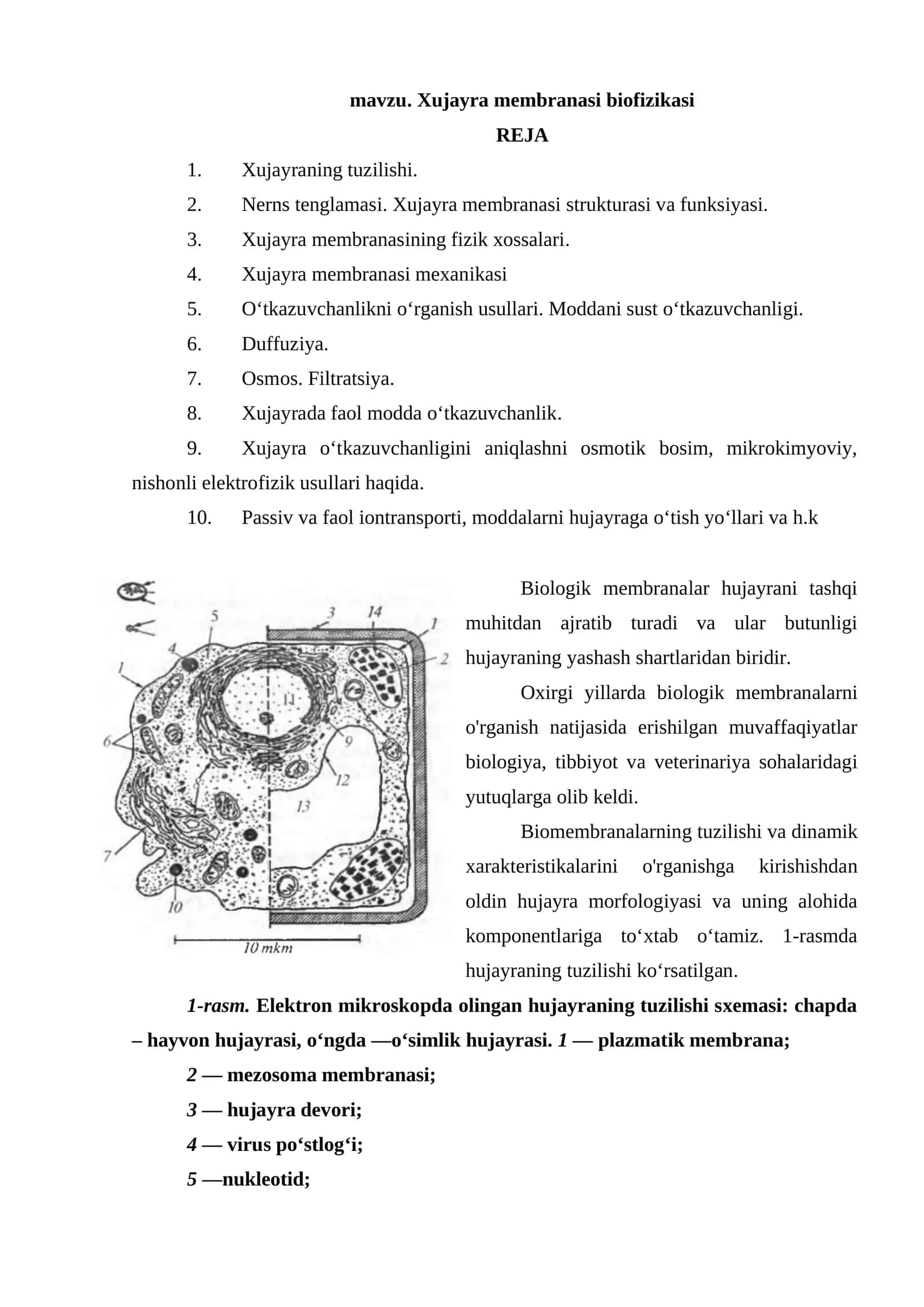 Xujayra membranasi biofizikasi 1