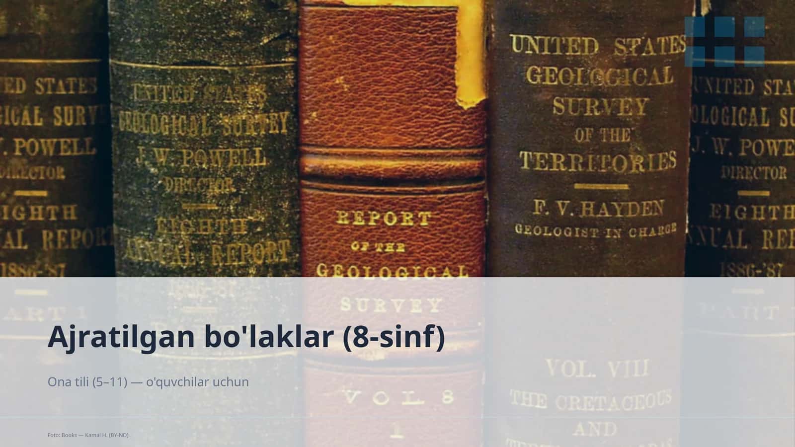 Ajratilgan bo'laklar (8-sinf) 1