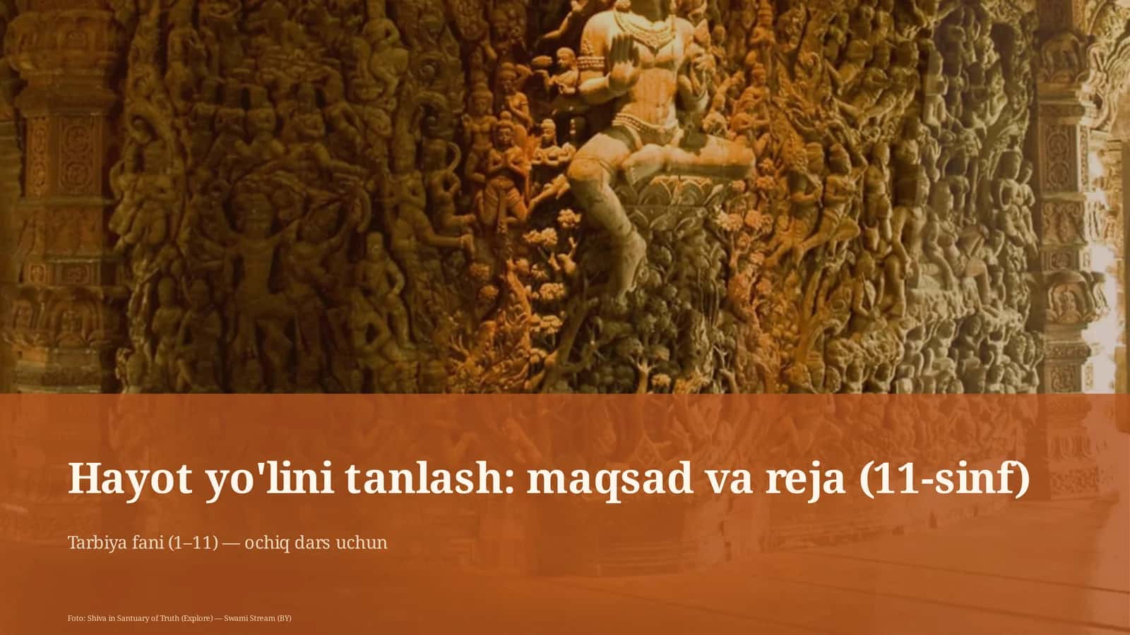 Hayot yo'lini tanlash: maqsad va reja (11-sinf) 1