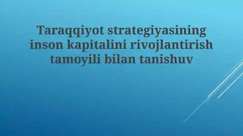 Inson kapitaliga investitsiya