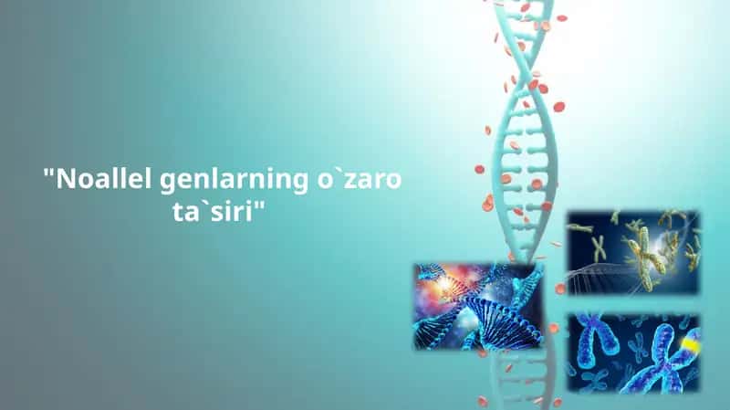 Noallel genlarning o`zaro ta`siri 1