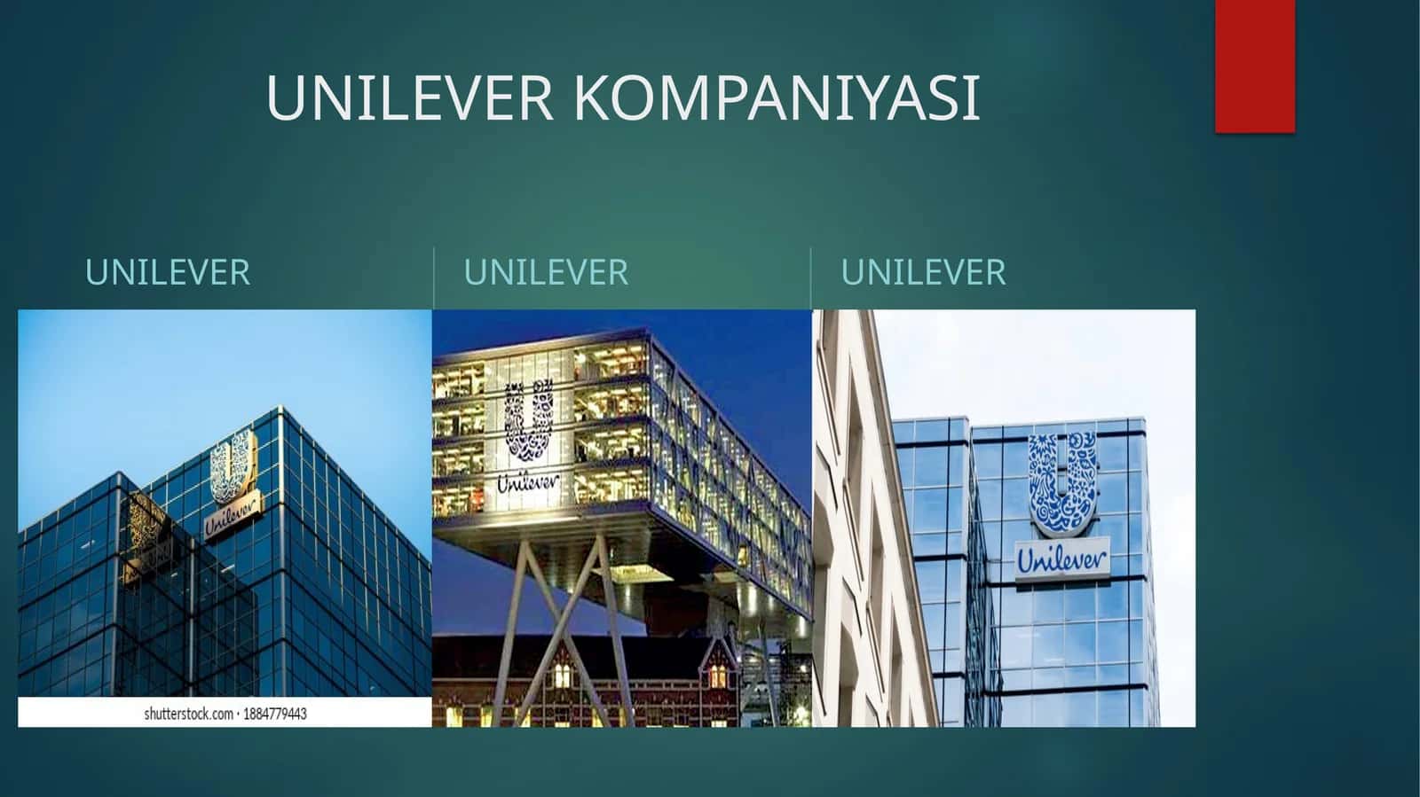 UNILEVER KOMPANIYASI 1