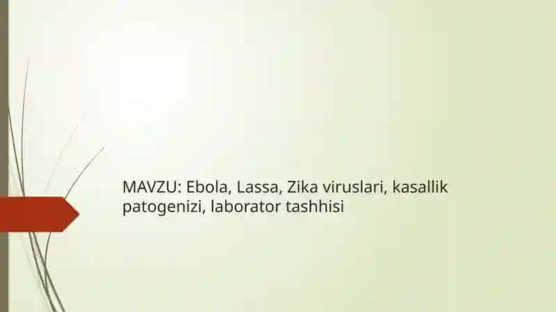 Ebola, Lassa, Zika viruslari, kasallik patogenizi, laborator tashhisi