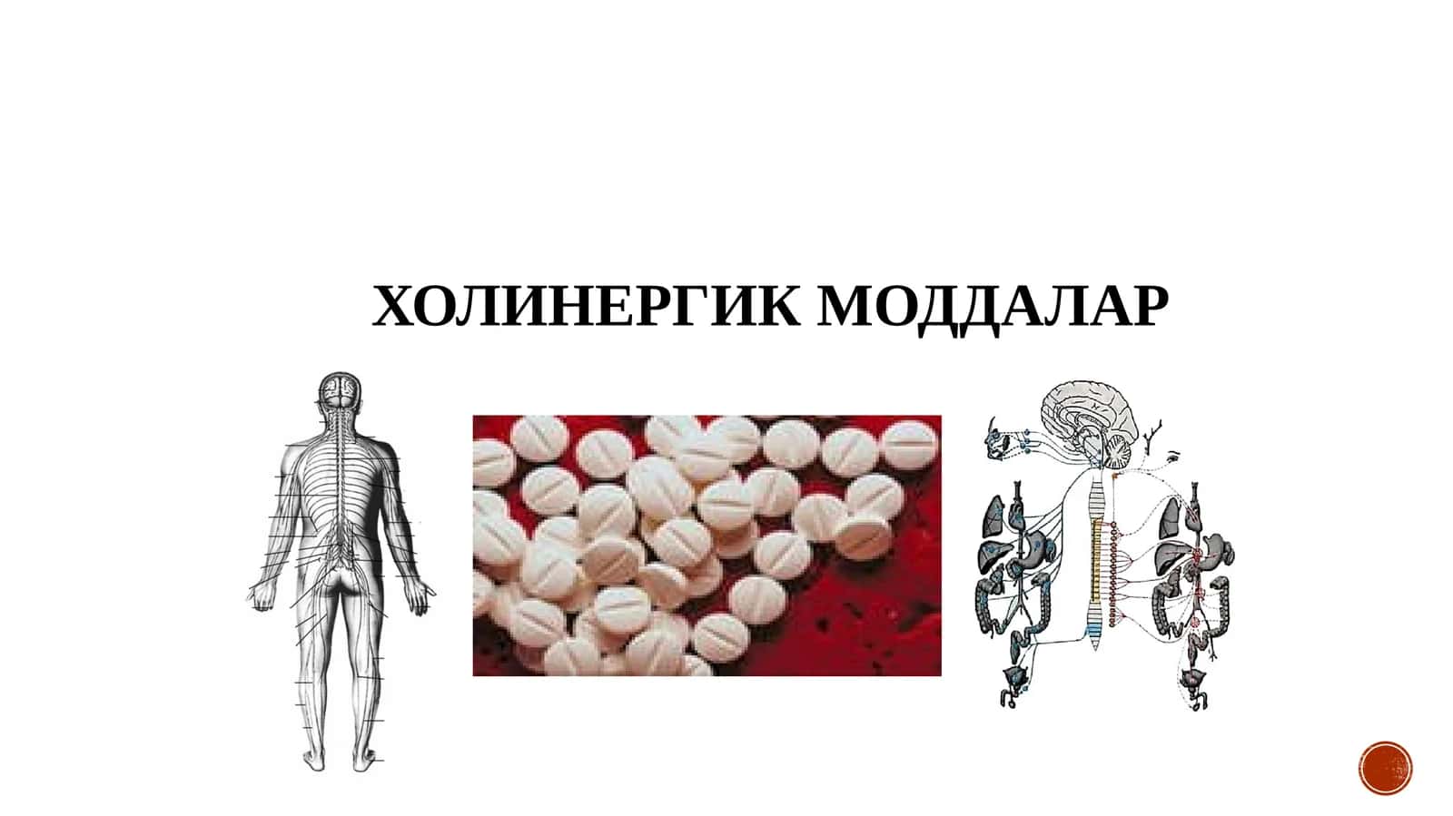 ХОЛИНЕРГИК МОДДАЛАР 1