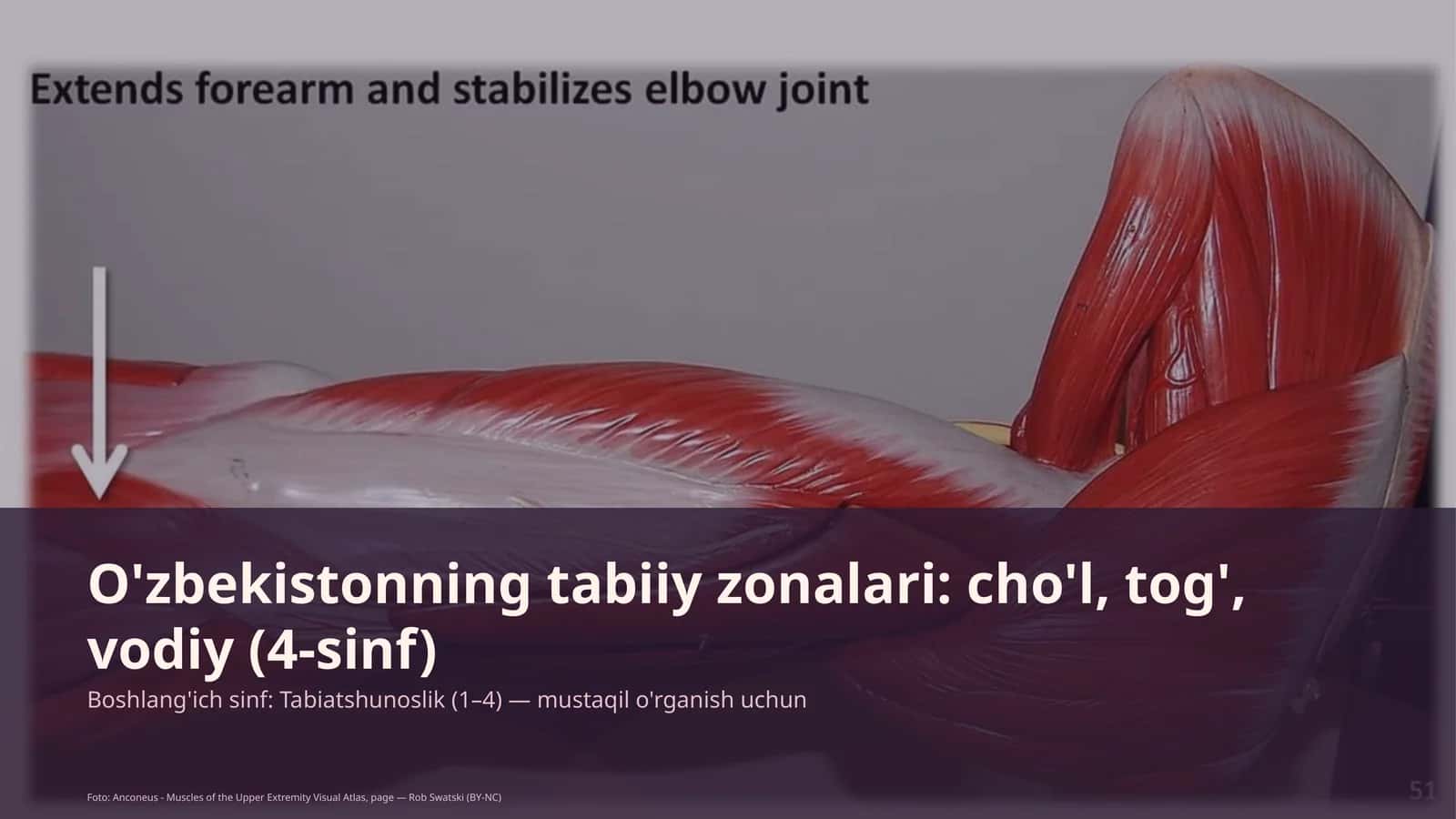 O'zbekistonning tabiiy zonalari: cho'l, tog', vodiy (4-sinf) 1