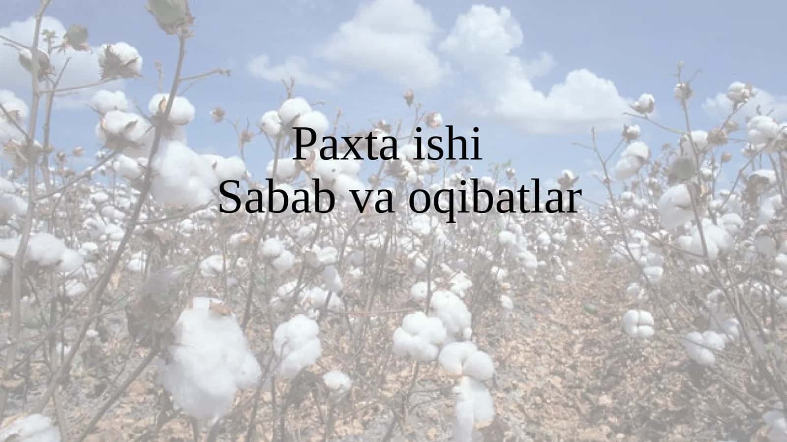 Paxta ishi  Sabab va oqibatlar 1