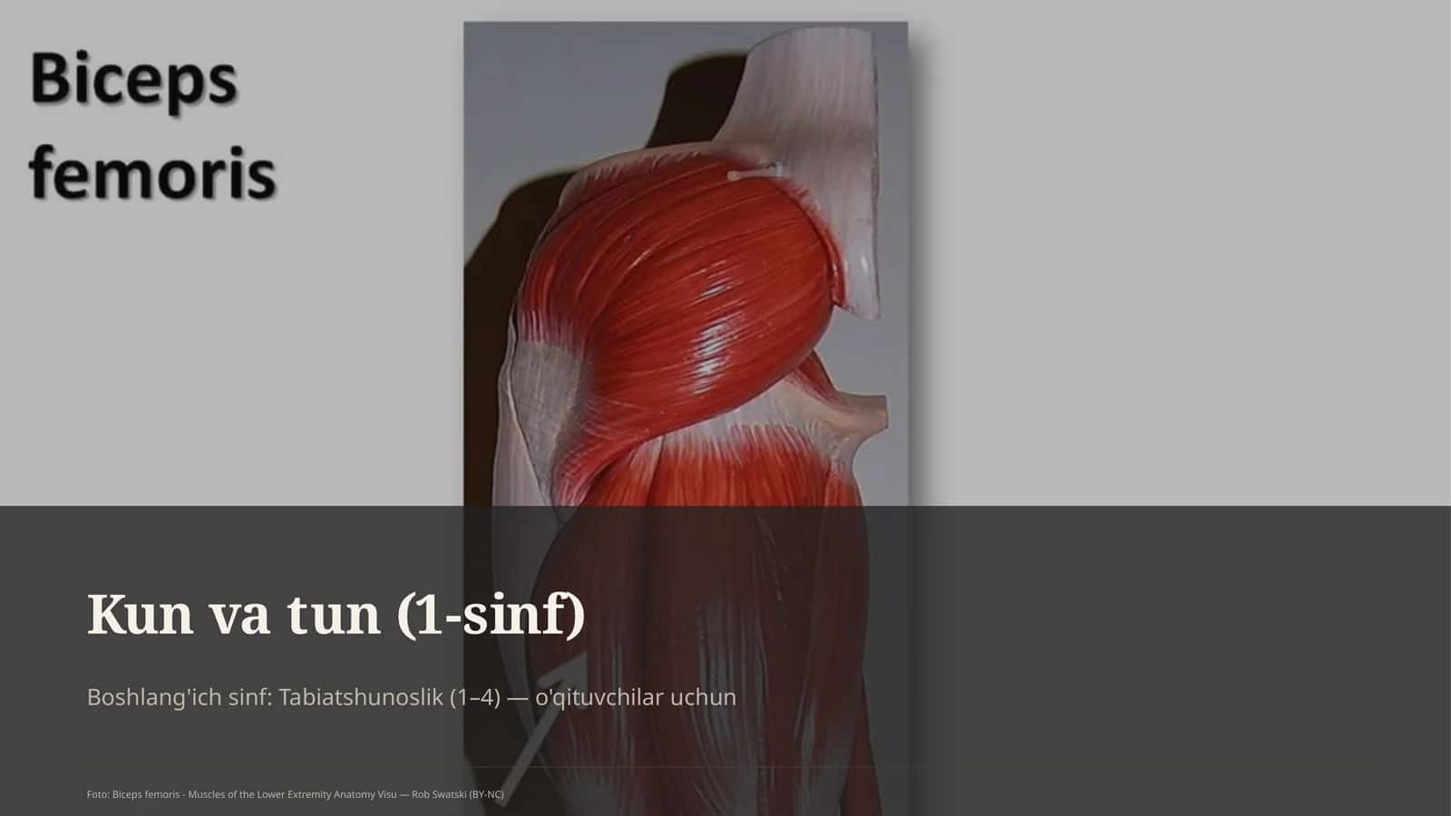Kun va tun (1-sinf) 1
