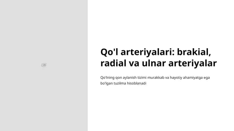Qo'l arteriyalari 1
