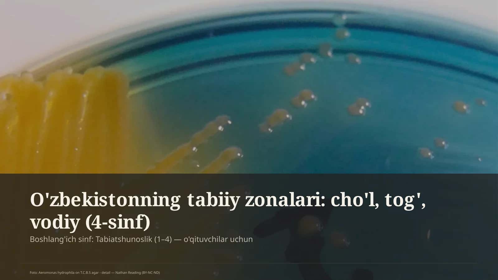 O'zbekistonning tabiiy zonalari: cho'l, tog', vodiy (4-sinf) 1