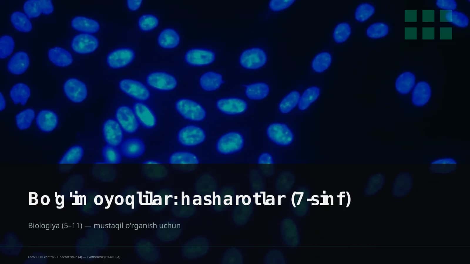 Bo'g'imoyoqlilar: hasharotlar (7-sinf) 1